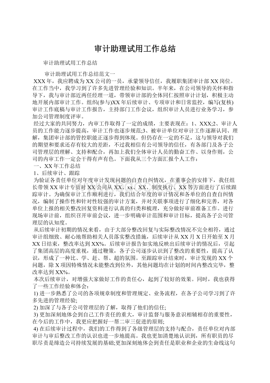 审计助理试用工作总结Word文档格式.docx