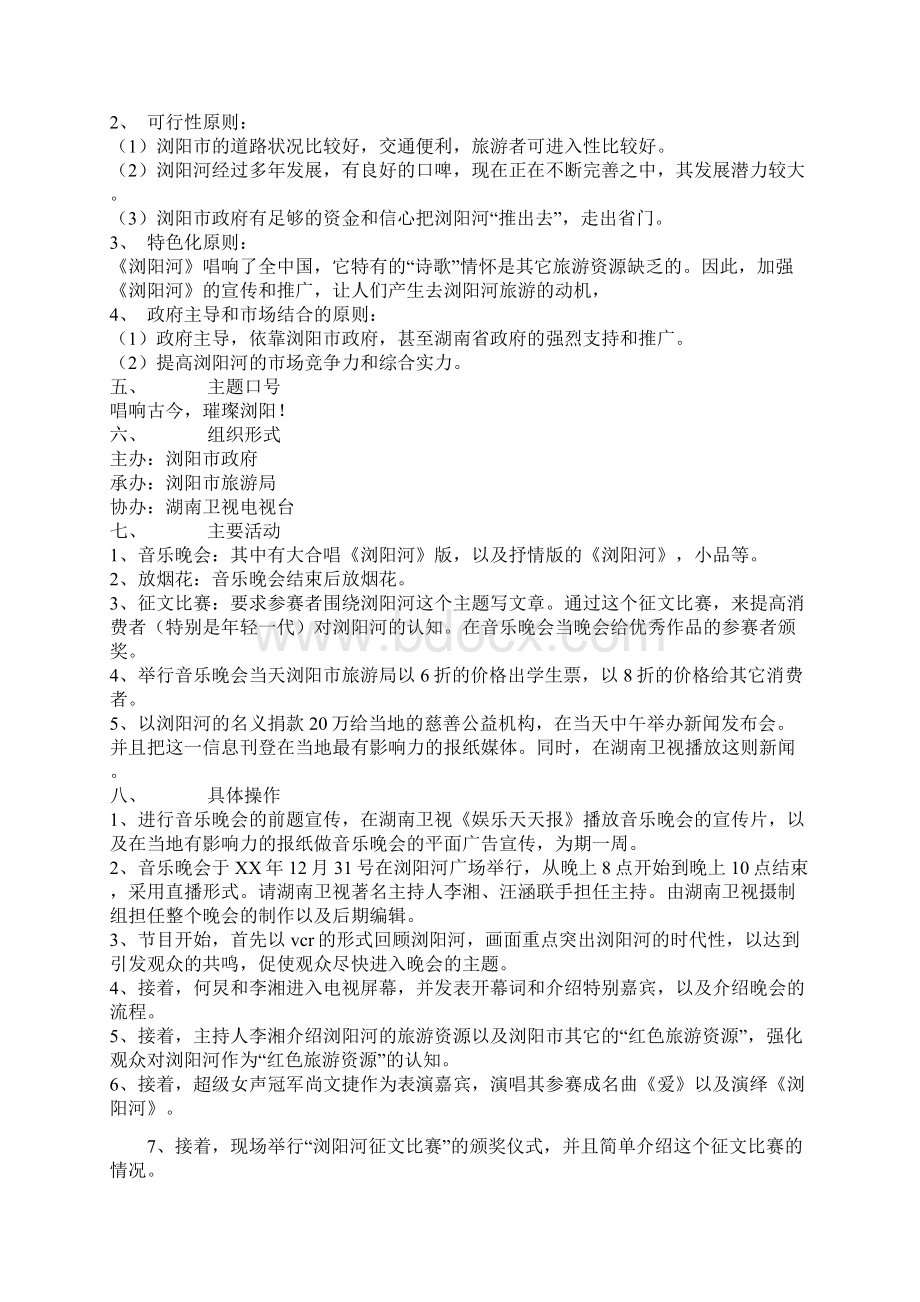 策划方案文档格式.docx_第2页