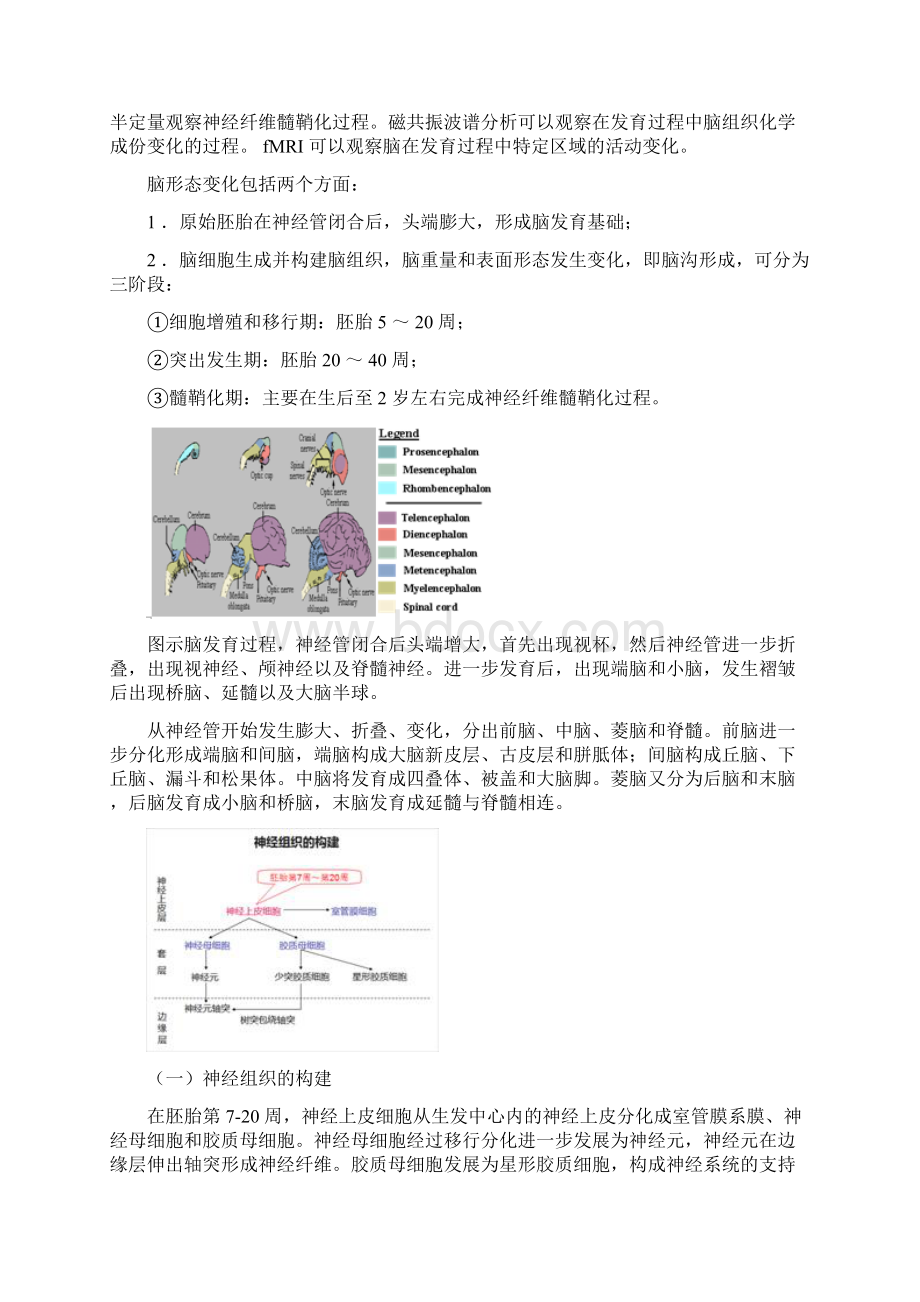 1儿童脑正常发育的磁共振成像.docx_第2页