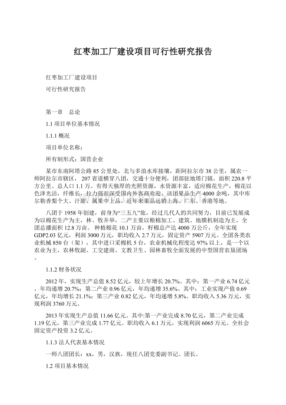 红枣加工厂建设项目可行性研究报告Word文档下载推荐.docx_第1页