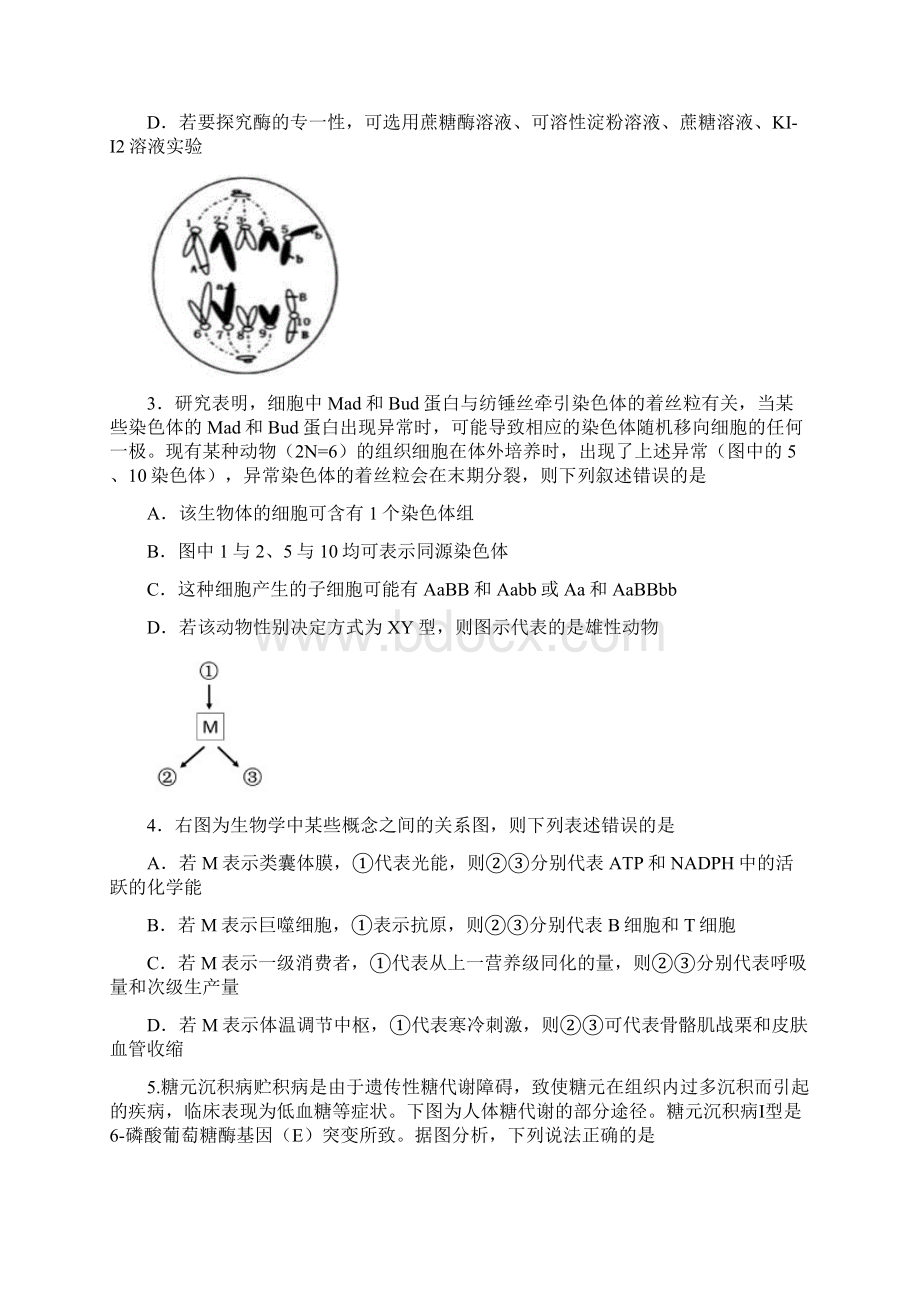 理综卷届浙江省宁波市镇海中学高三模拟考试05word版.docx_第2页