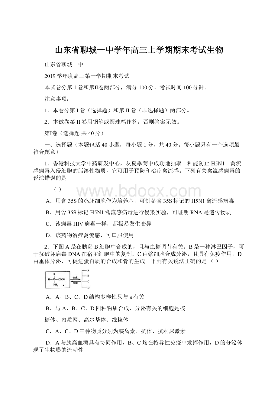 山东省聊城一中学年高三上学期期末考试生物.docx