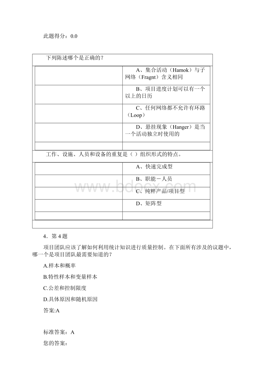 项目管理Word文档下载推荐.docx_第3页