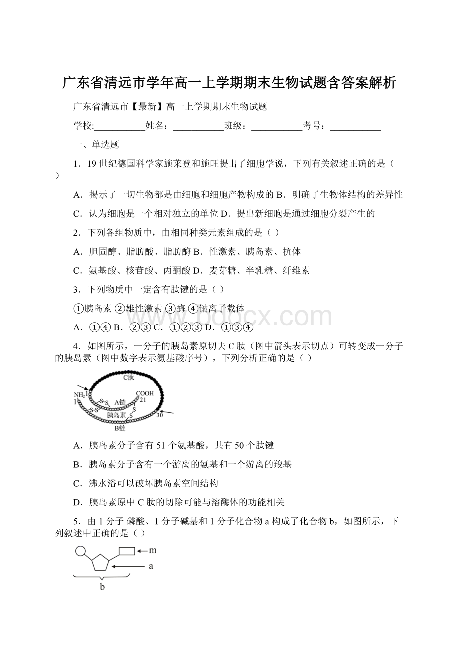 广东省清远市学年高一上学期期末生物试题含答案解析.docx_第1页