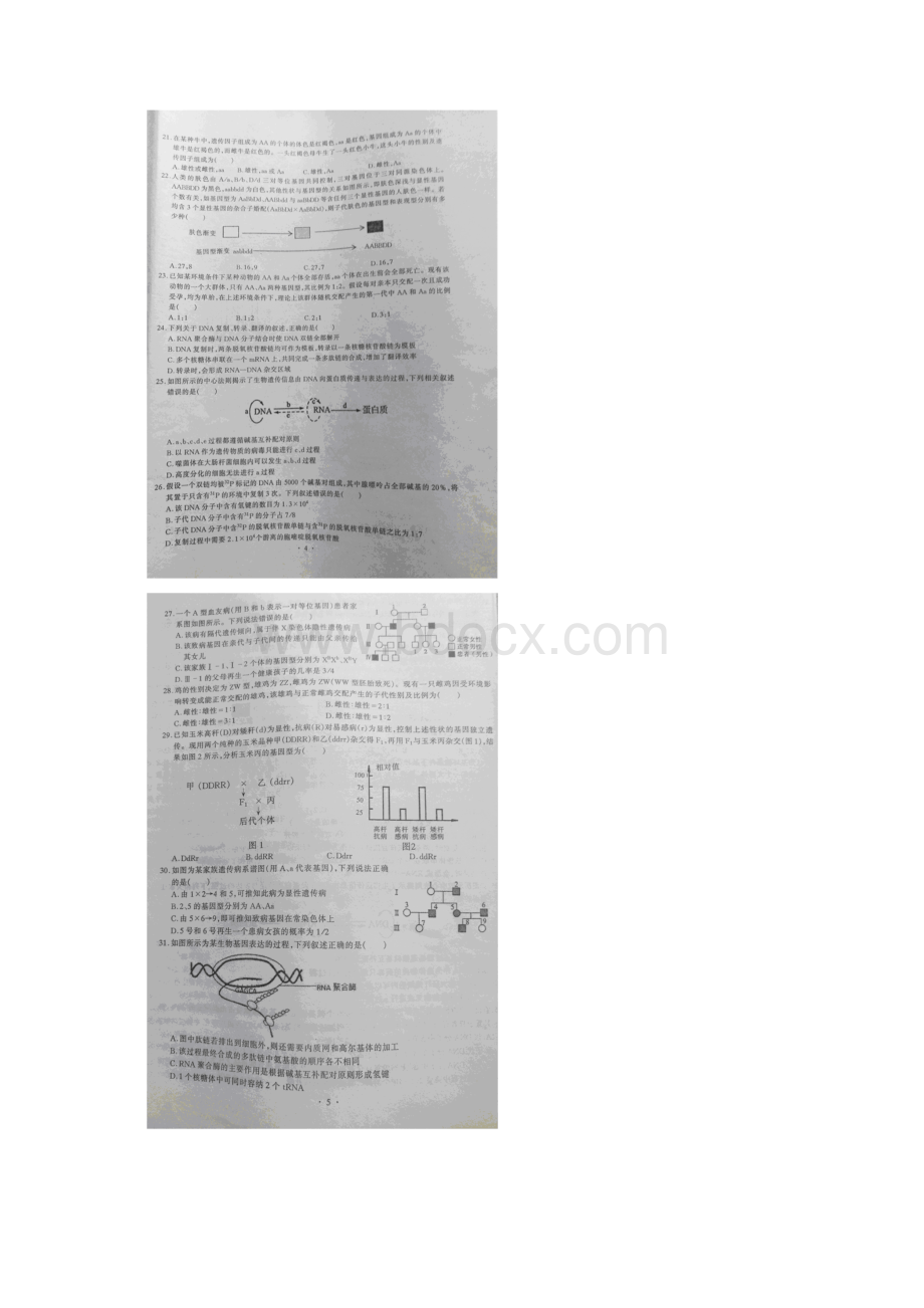 湖北省部分重点中学武汉1中3中6中11中等六校学年高一下学期期末联考生物试题文档格式.docx_第3页