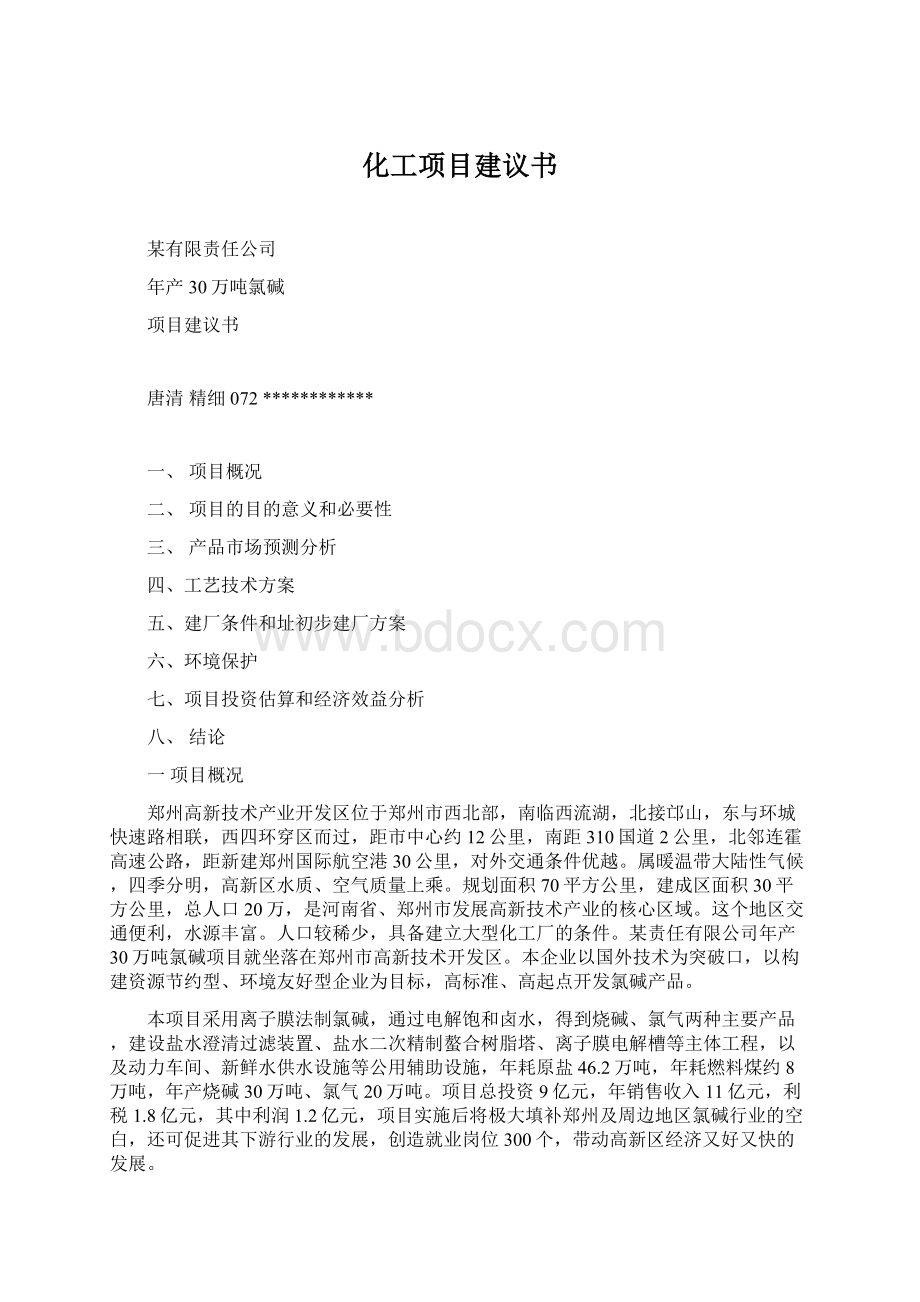 化工项目建议书Word格式.docx