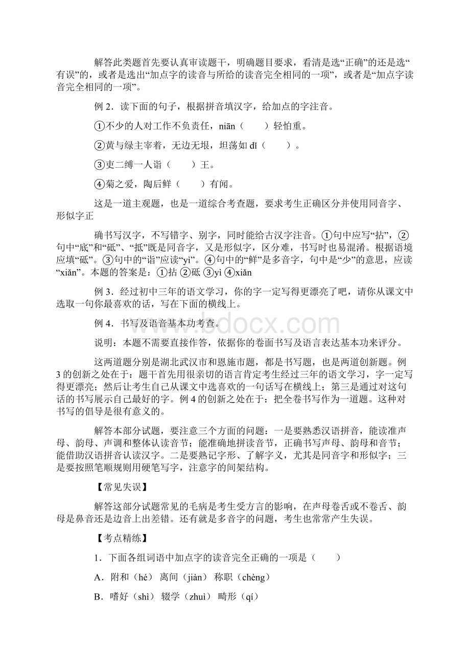 中考语文复习精讲.docx_第2页
