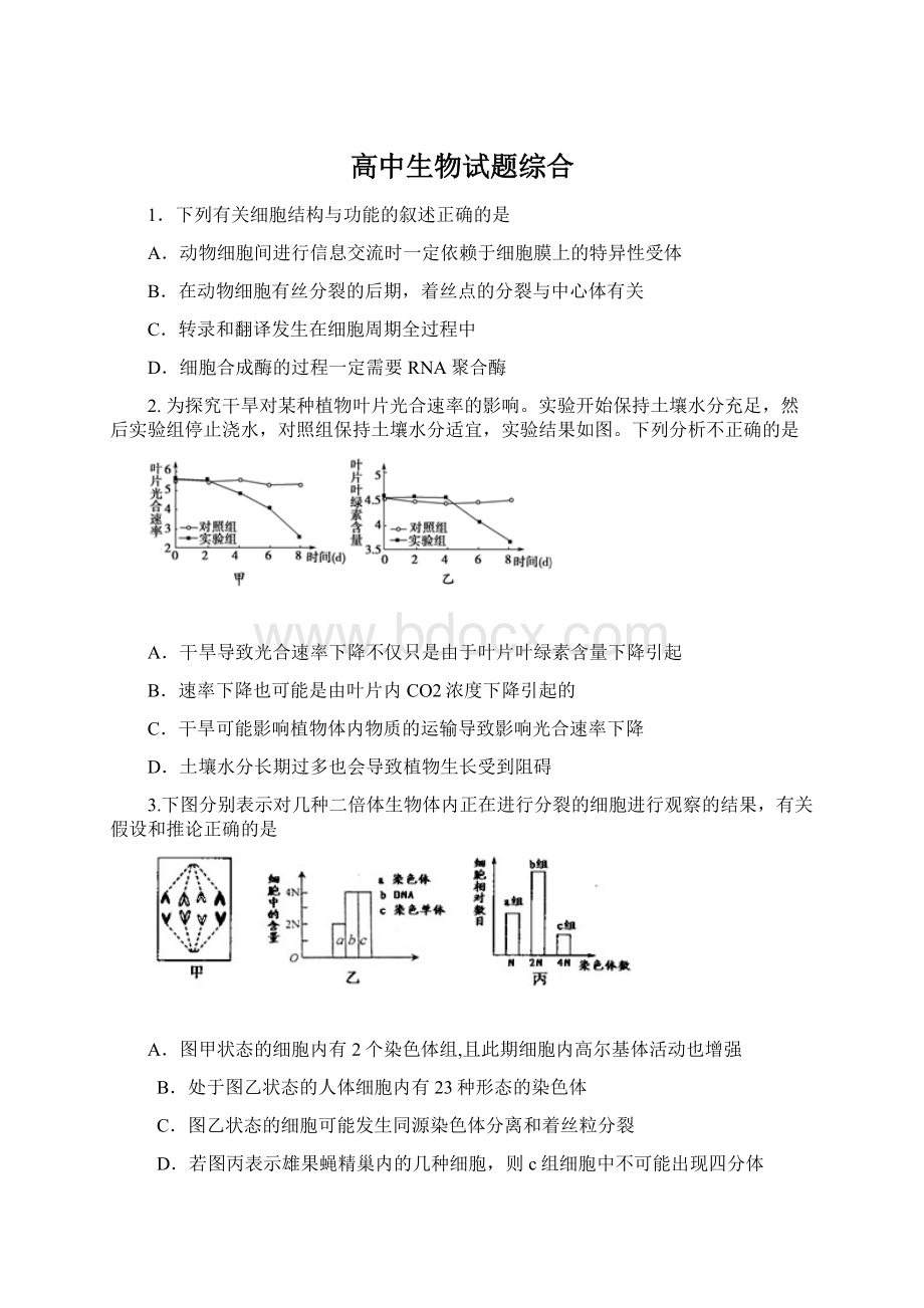 高中生物试题综合.docx