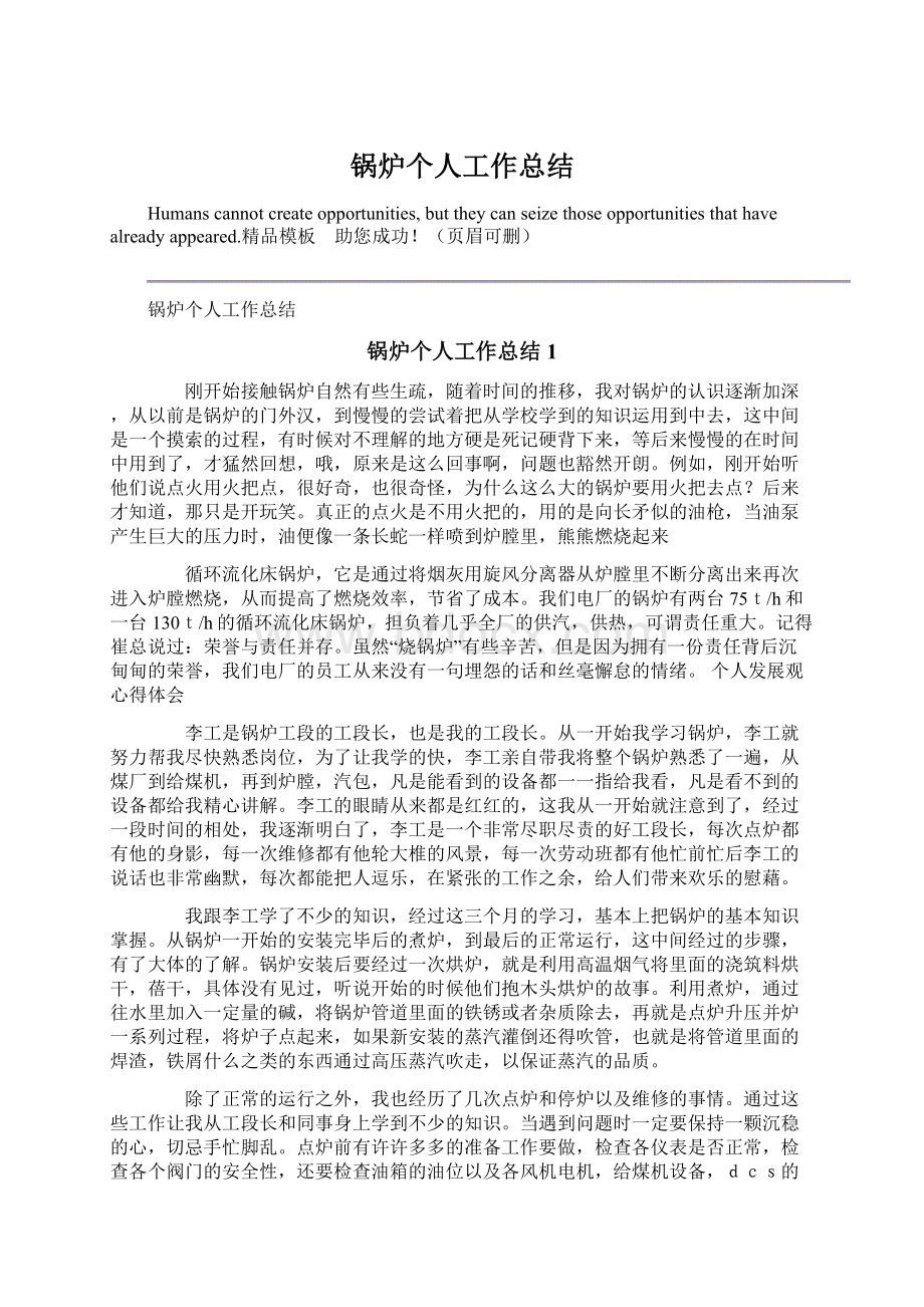 锅炉个人工作总结Word格式文档下载.docx