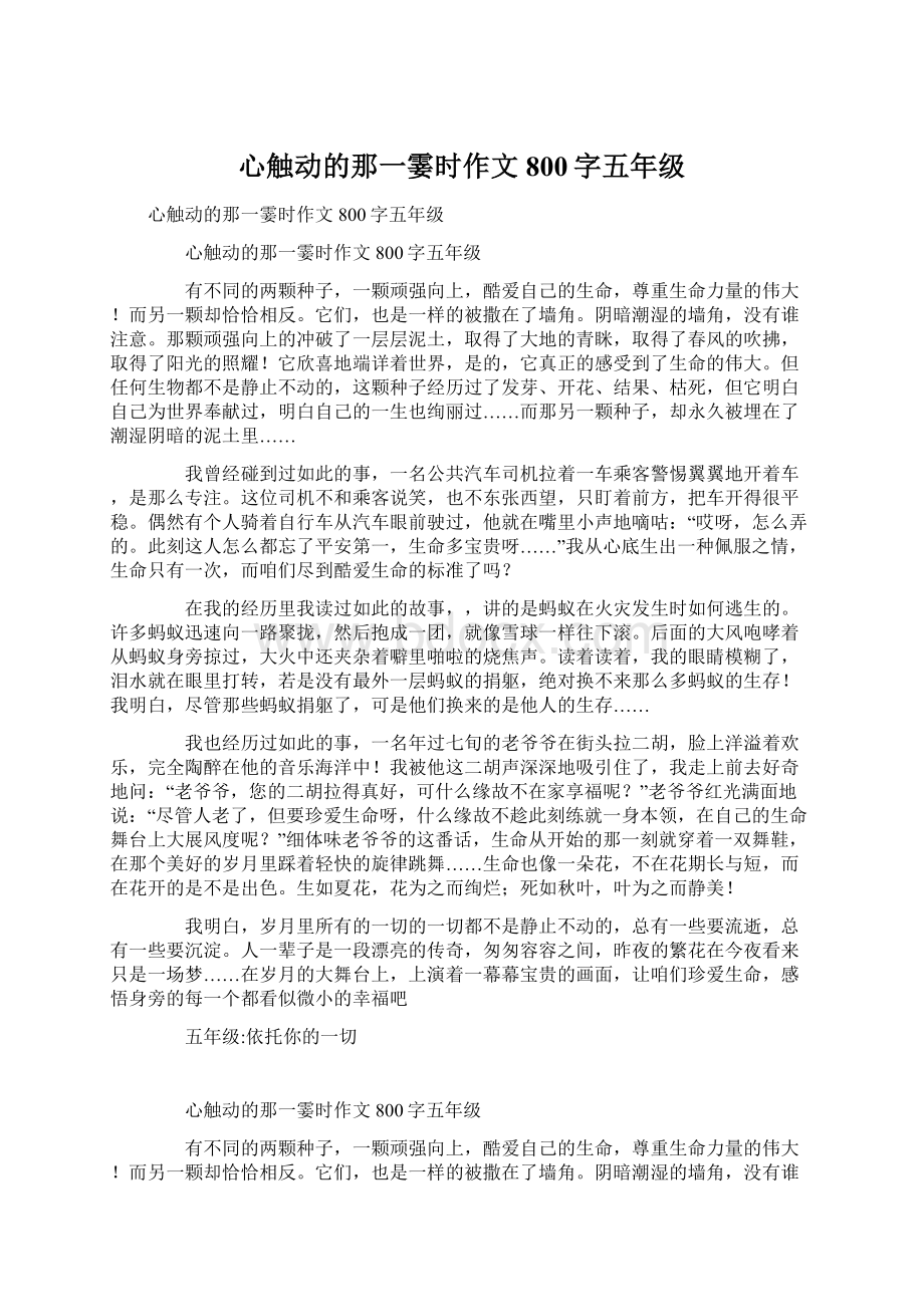 心触动的那一霎时作文800字五年级.docx