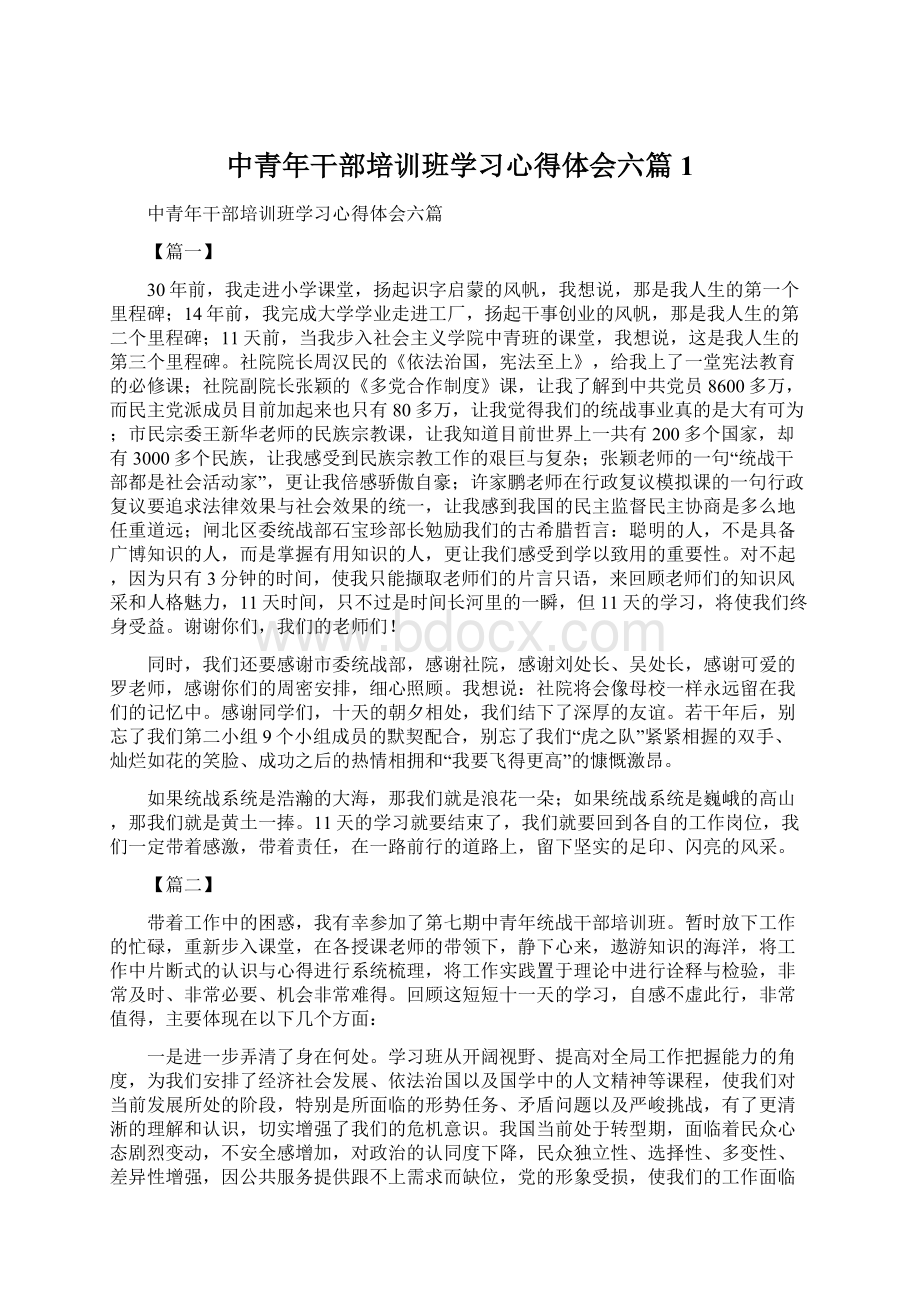 中青年干部培训班学习心得体会六篇1.docx