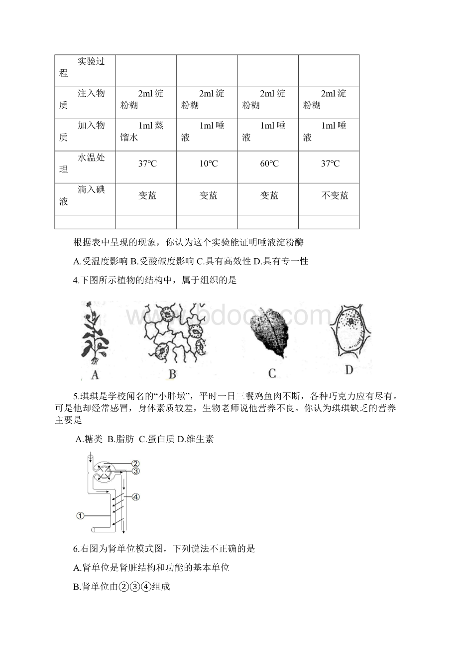 山东济宁中考生物试题解析版Word文档格式.docx_第2页