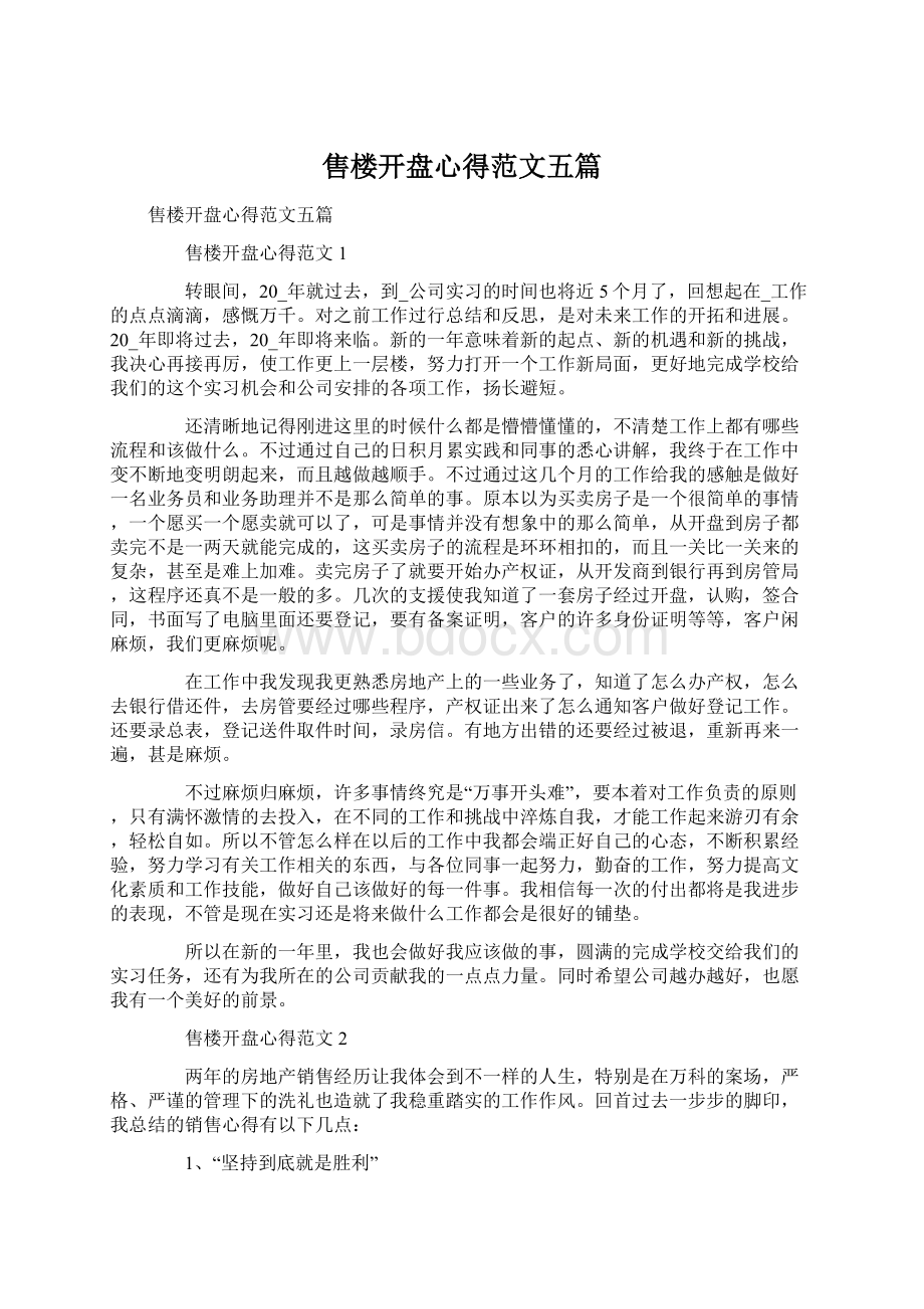 售楼开盘心得范文五篇Word文档格式.docx