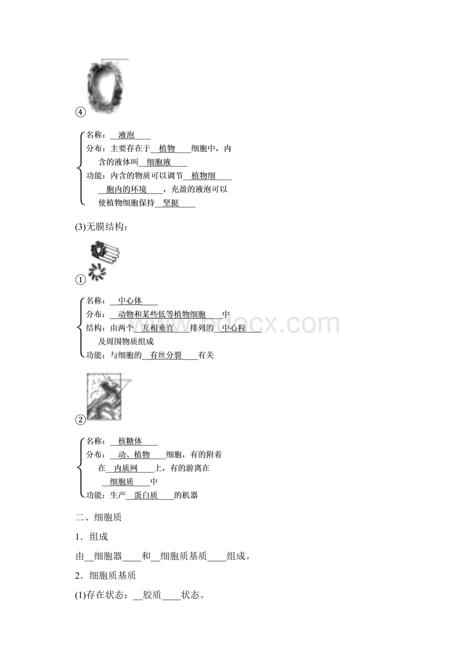 秋人教版生物必修一同步名师导学讲义第三章 细胞的基本结构 第2节 细胞器系统内的分工Word格式文档下载.docx_第3页