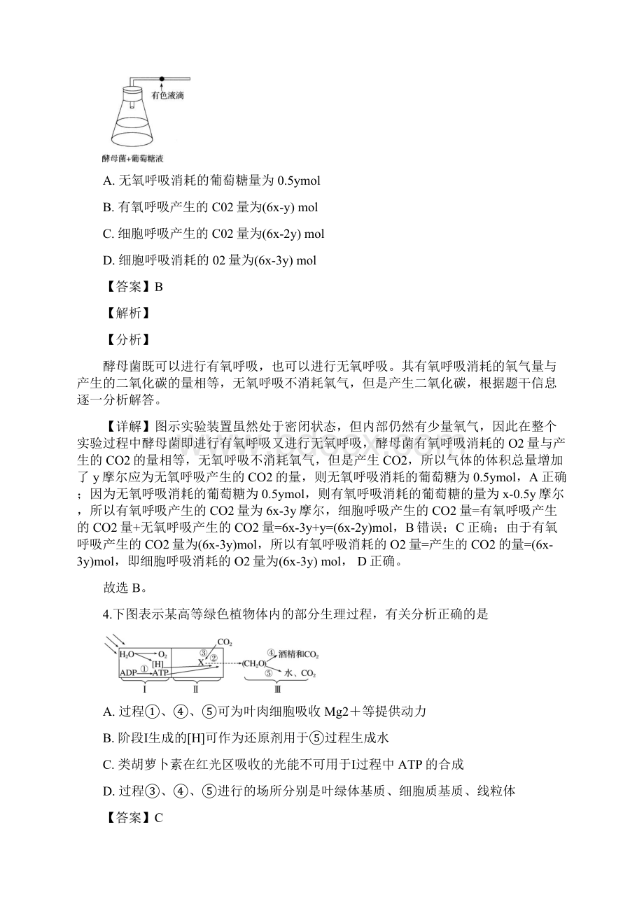 届福建省厦门市双十中学高三上学期期中考试生物试题解析版.docx_第3页