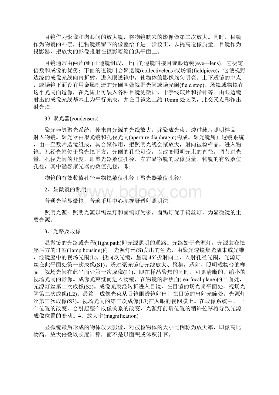 普通生物学实验讲解Word文档下载推荐.docx_第2页