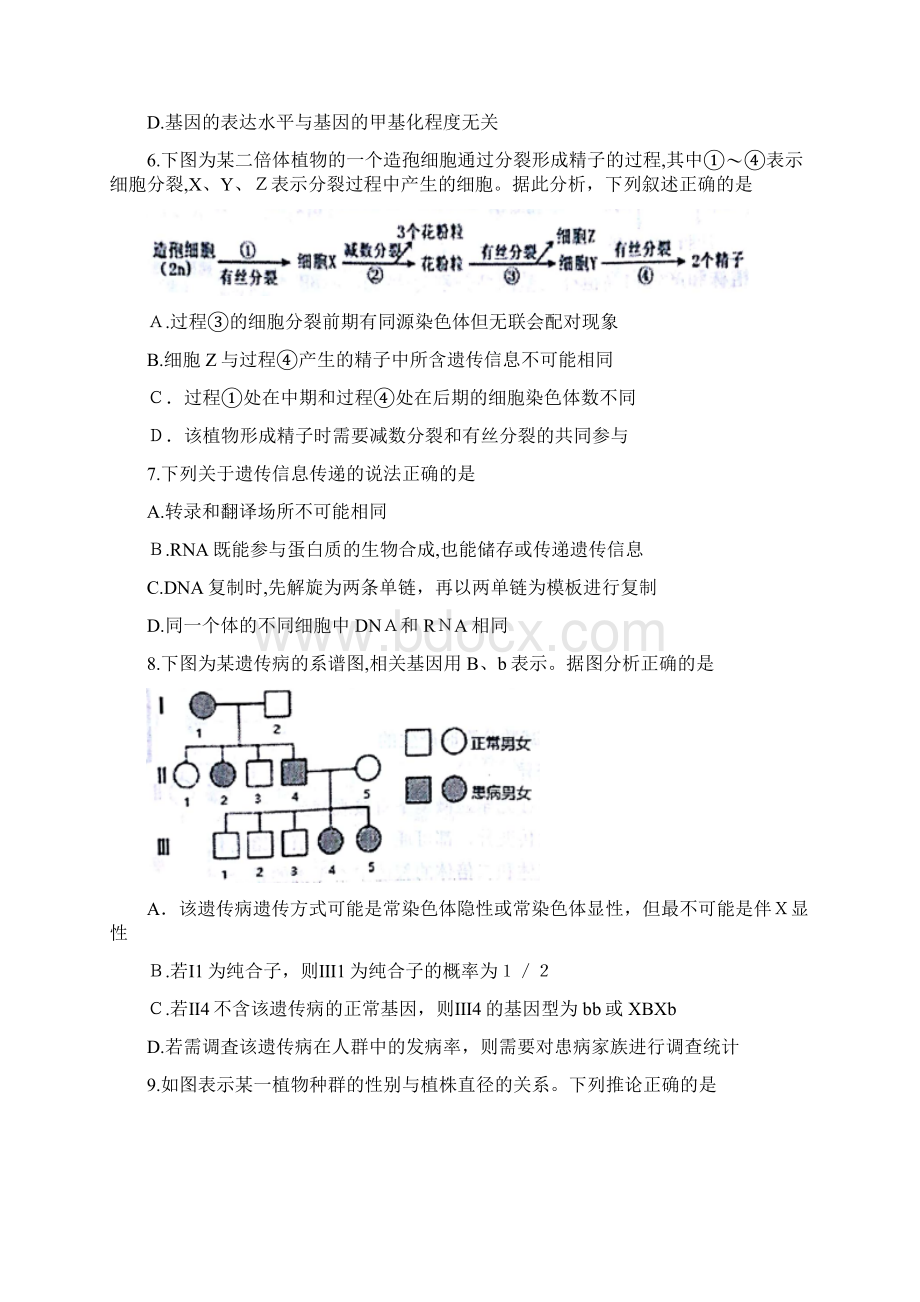 山东省烟台市学年高一下学期期末考试试题 生物 无答案Word文档下载推荐.docx_第2页