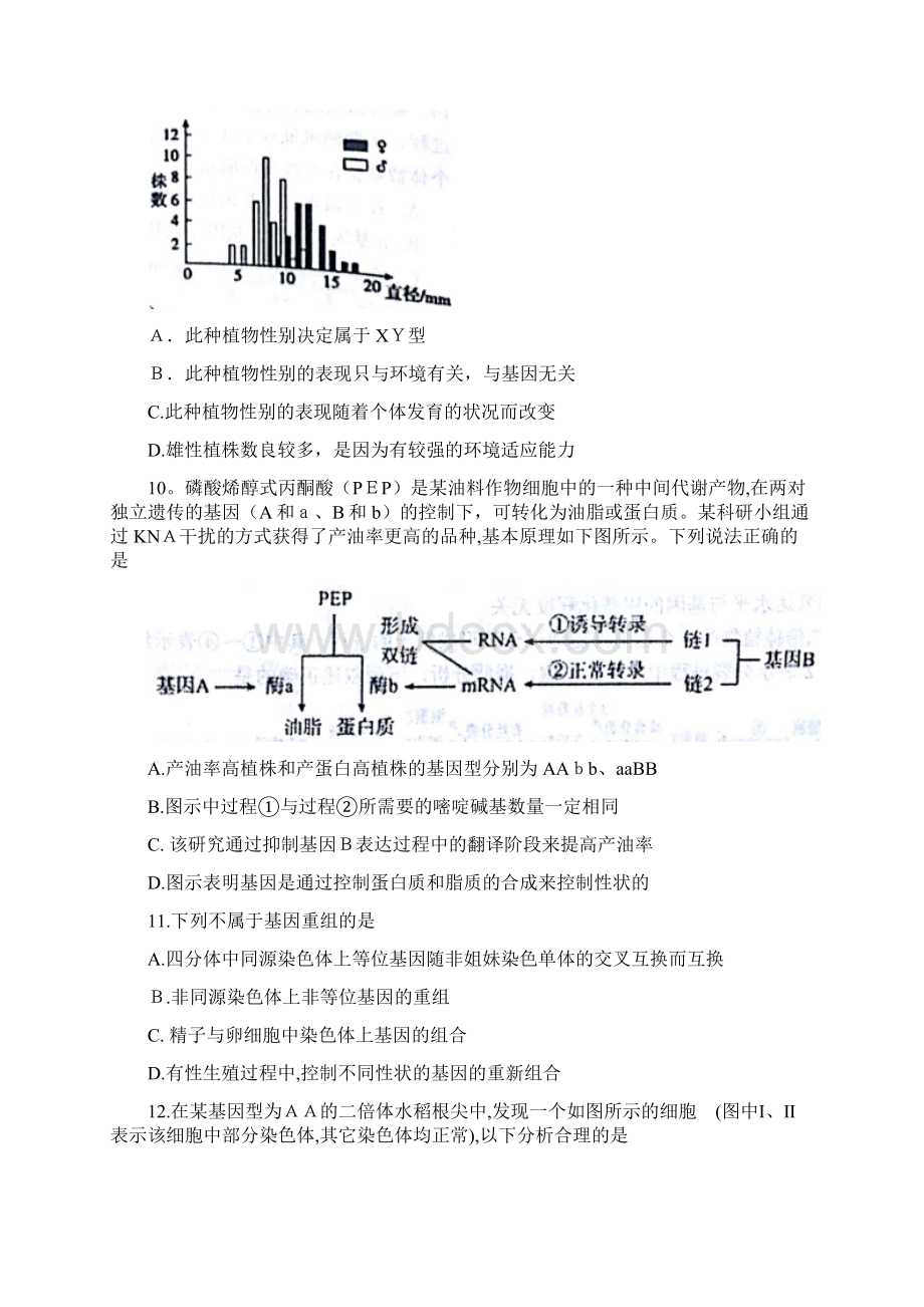 山东省烟台市学年高一下学期期末考试试题 生物 无答案.docx_第3页