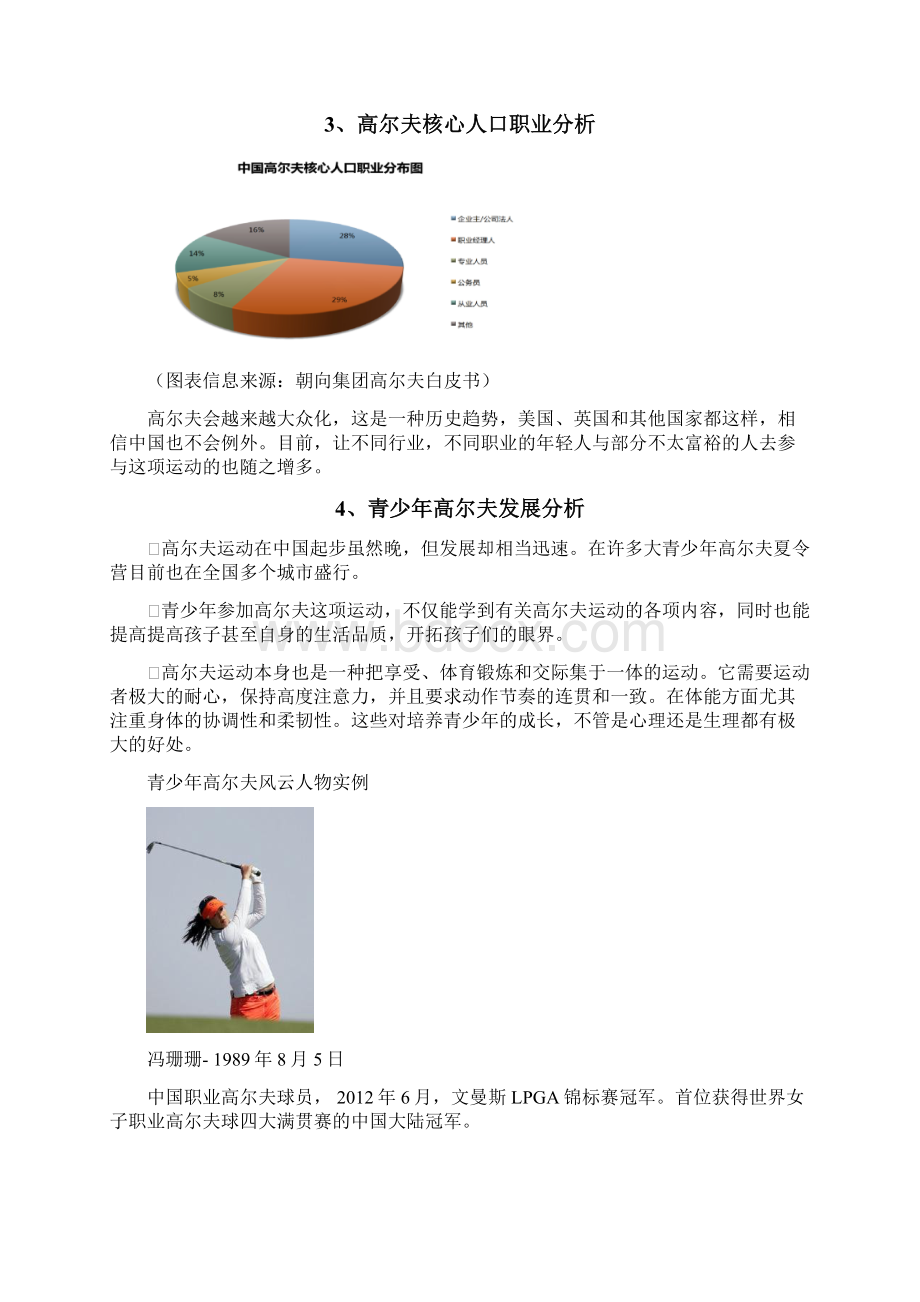 青少年高尔夫项目可行性分析报告.docx_第3页