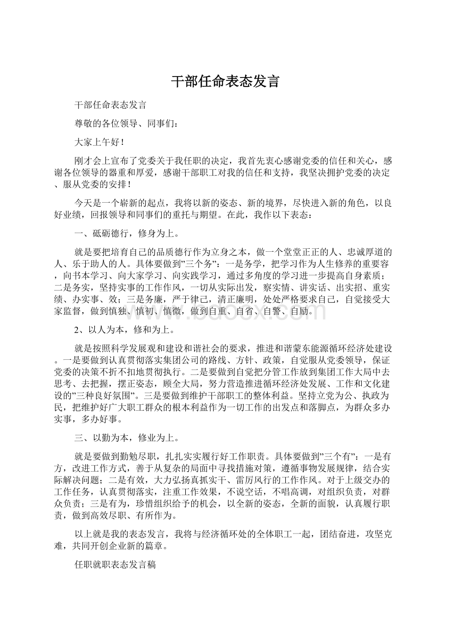 干部任命表态发言Word文档格式.docx