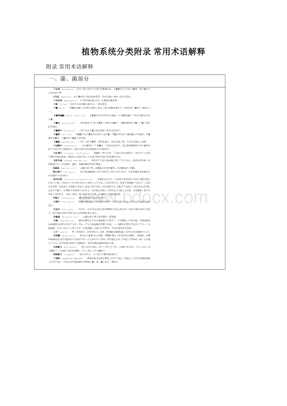 植物系统分类附录 常用术语解释Word格式.docx