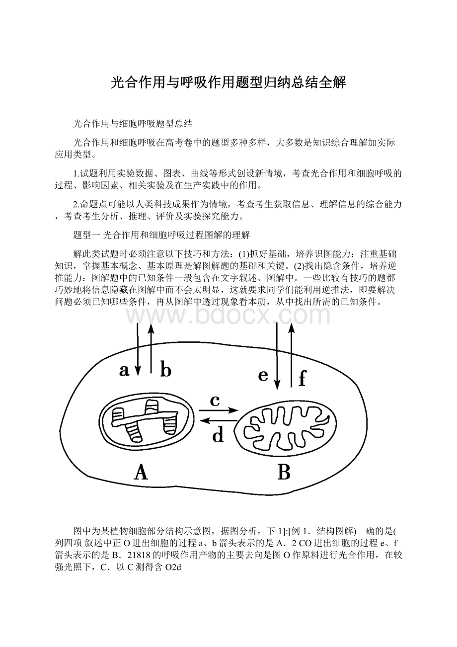 光合作用与呼吸作用题型归纳总结全解Word文档格式.docx