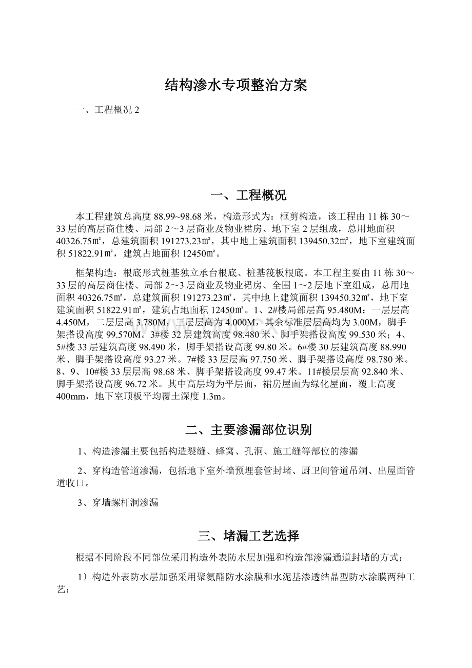 结构渗水专项整治方案.docx