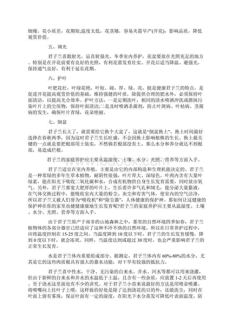 君子兰的养殖方法和注意事项养护要点docWord文档下载推荐.docx_第2页