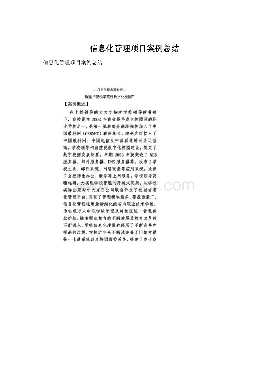 信息化管理项目案例总结.docx_第1页