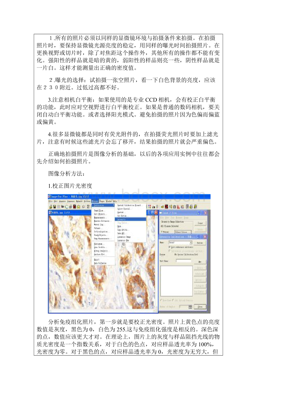 灰度值和光密度值在免疫组化定量分析.docx_第2页