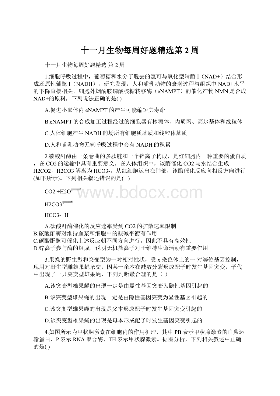 十一月生物每周好题精选第2周文档格式.docx