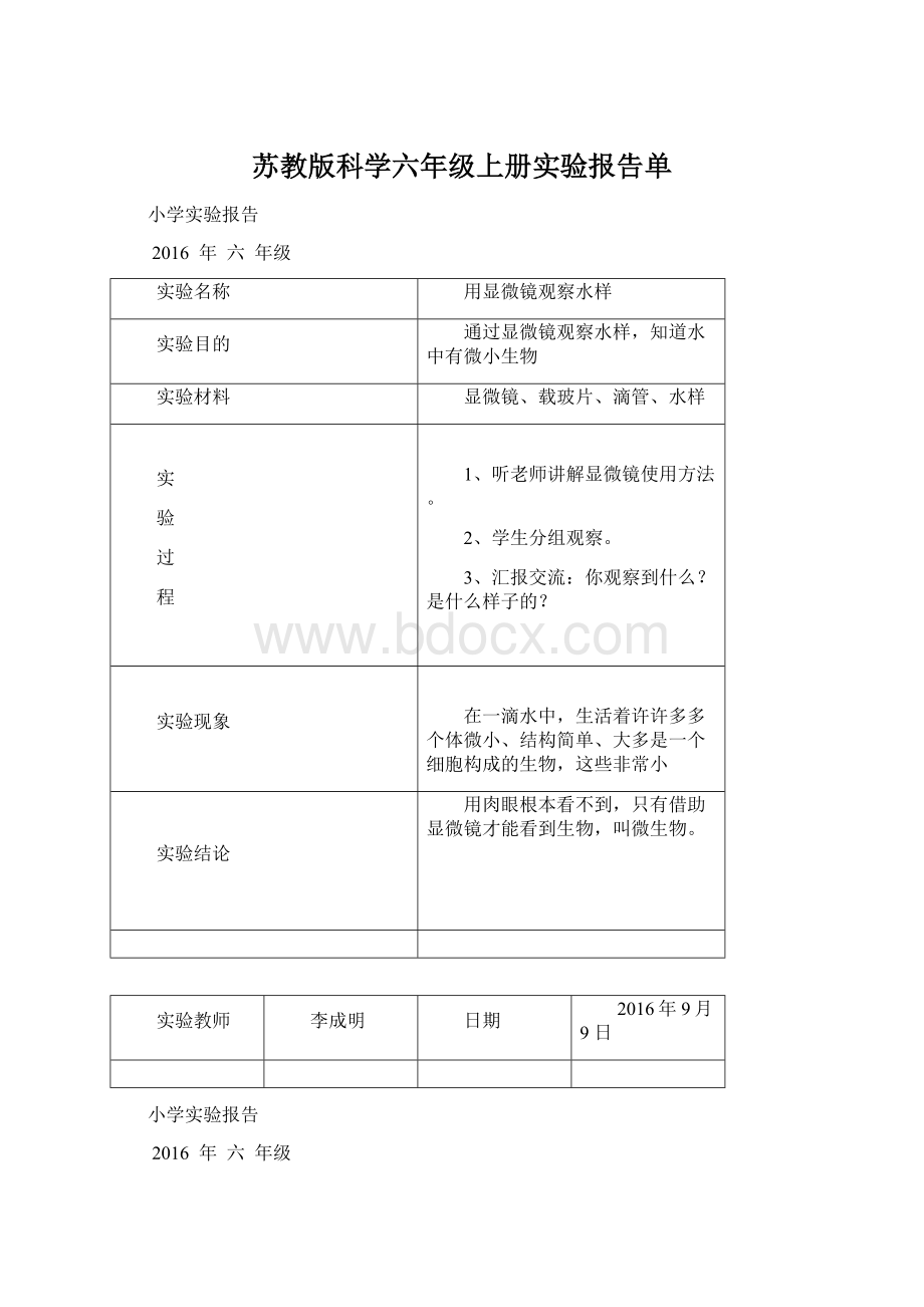 苏教版科学六年级上册实验报告单.docx_第1页