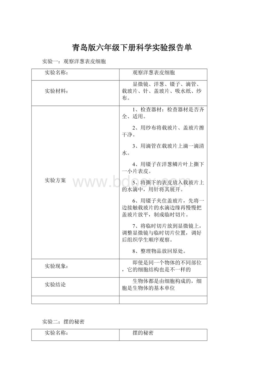 青岛版六年级下册科学实验报告单Word文档格式.docx