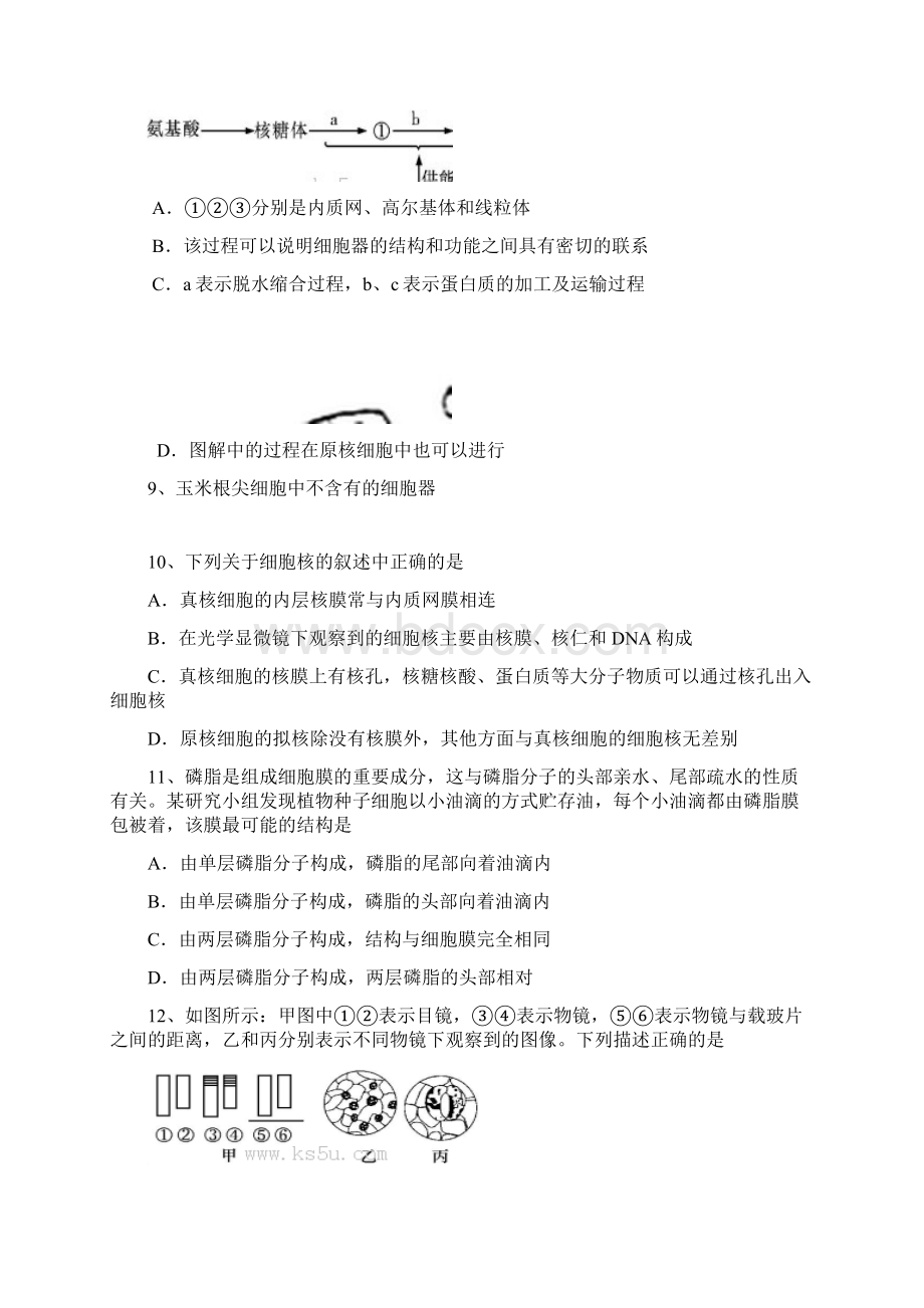 浙江省杭州市萧山二中三中五中学年高二上学期期中联考生物试题 Word版缺答案.docx_第3页