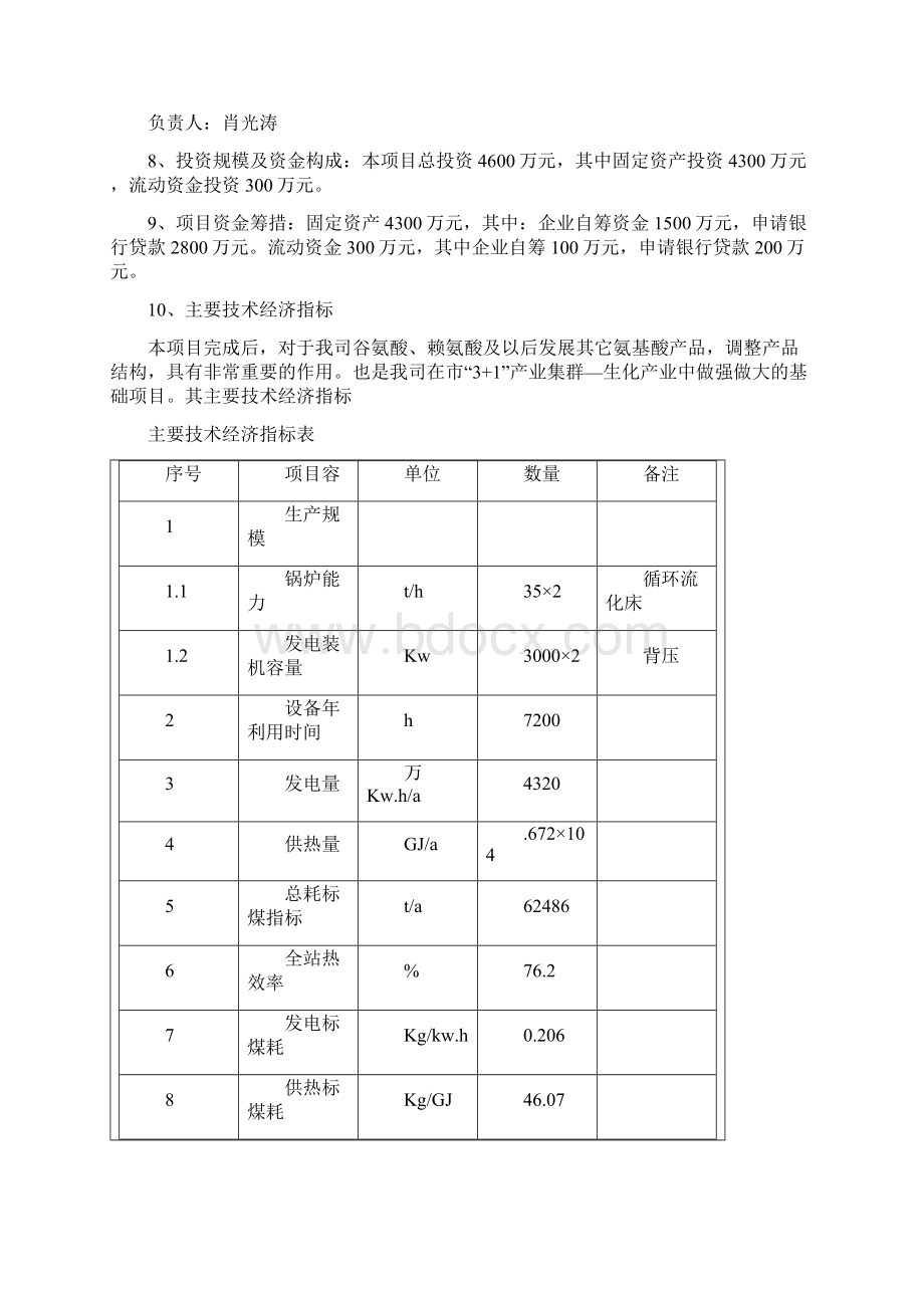 氨基酸系列产品配套设施锅炉技改3000KW2热电联产项目可行性实施报告.docx_第2页