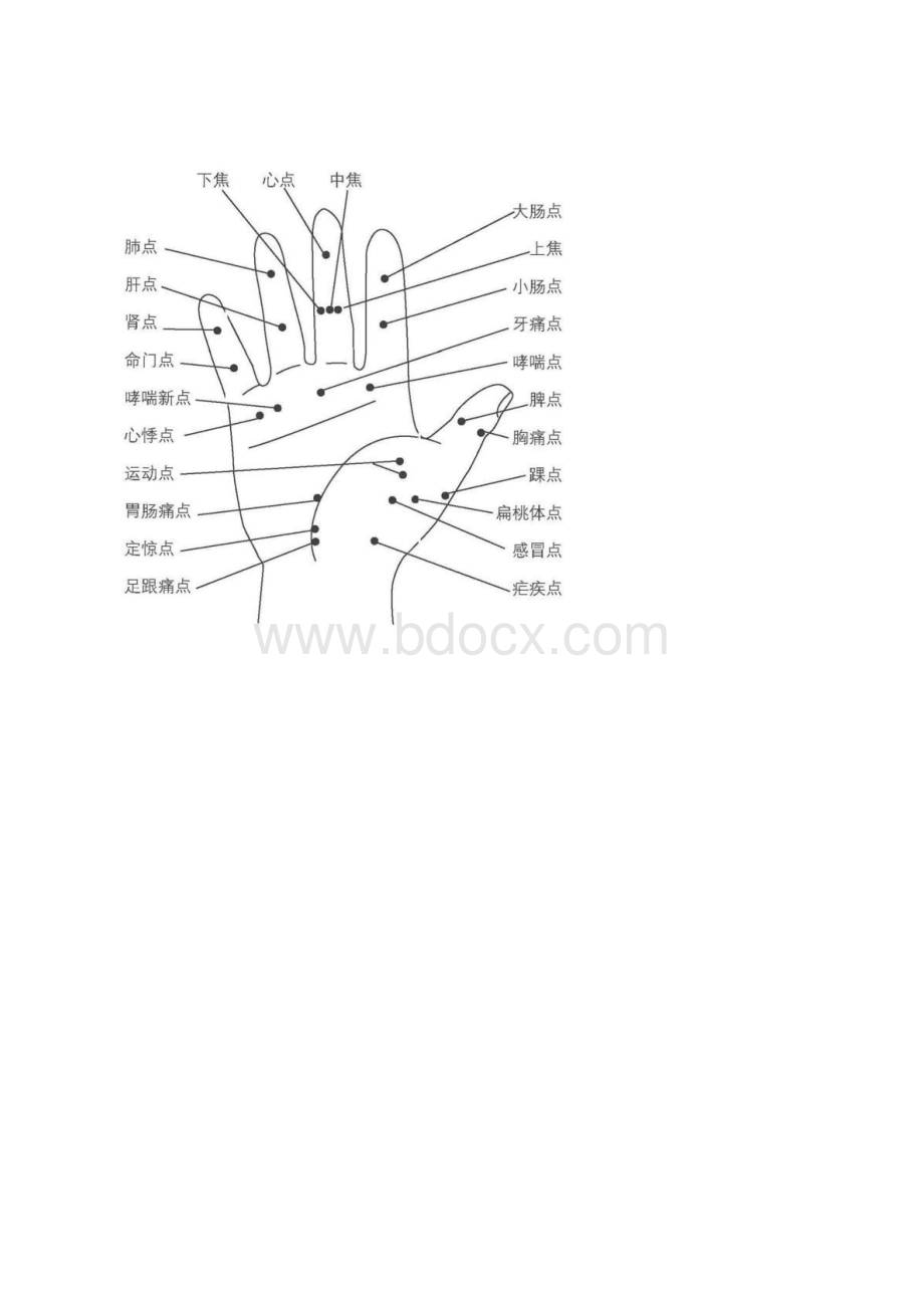 人体全息图手诊面诊.docx_第3页