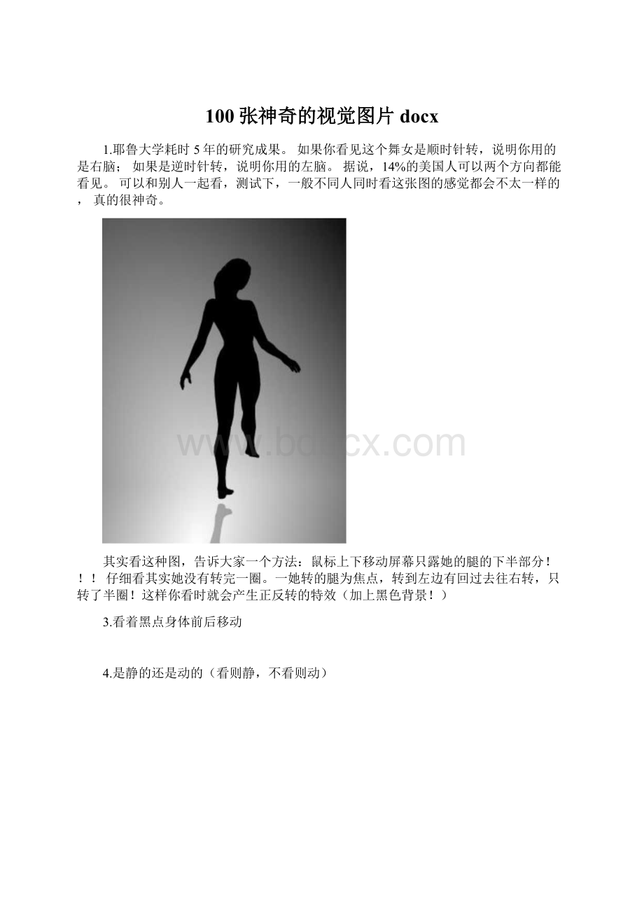 100张神奇的视觉图片docx.docx_第1页