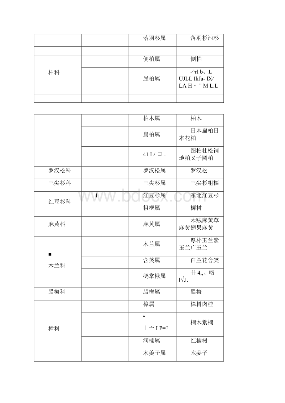 常见植物科属经典重点讲义资料Word文档下载推荐.docx_第2页