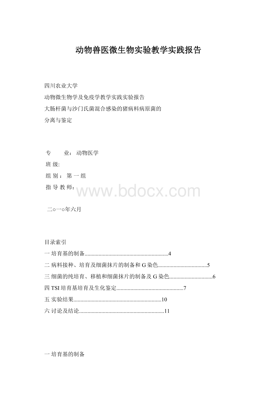 动物兽医微生物实验教学实践报告Word下载.docx