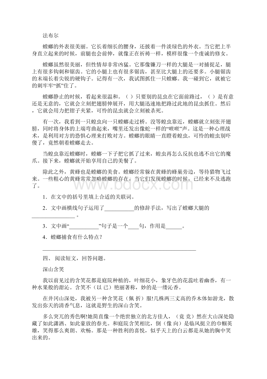 语文版四年级语文上册短文阅读专项突破训练.docx_第3页