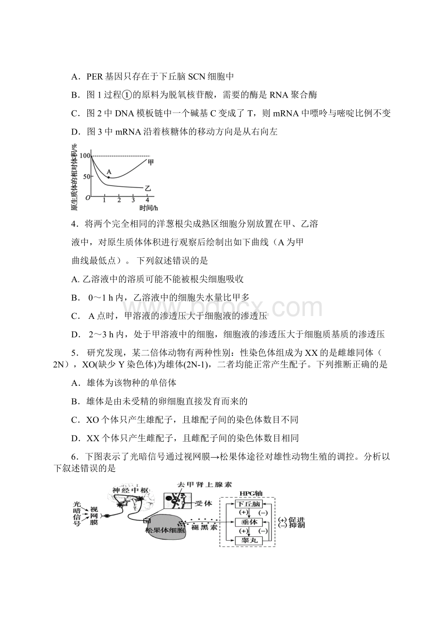 吉林市普通中学学年度高中毕业班第三次调研测试理科综合文档格式.docx_第2页