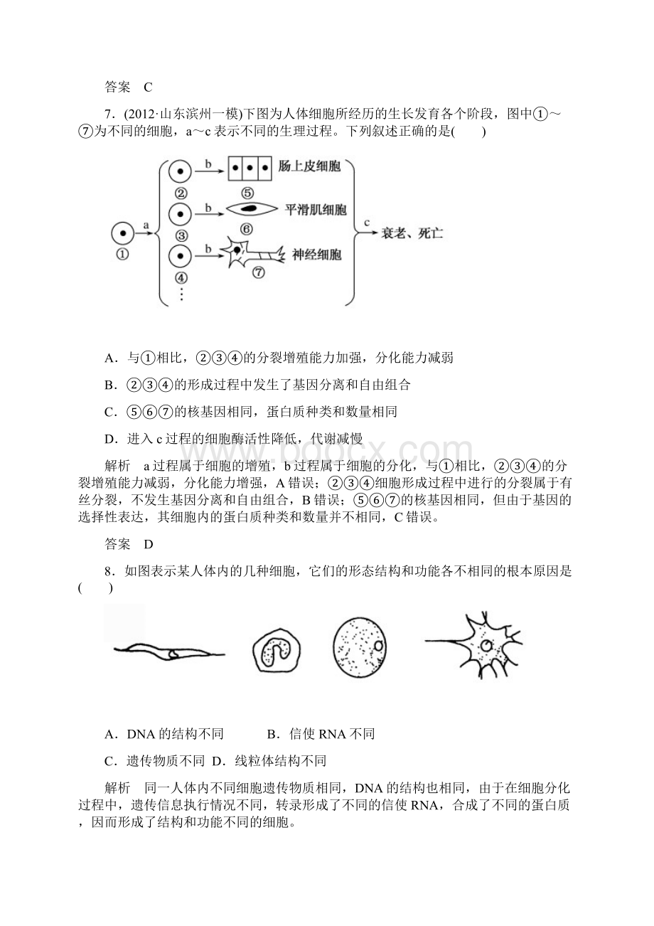 名师一号高考总复习新课标生物1413.docx_第3页