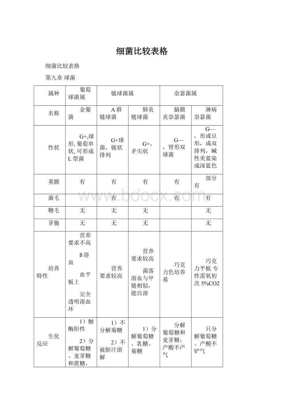 细菌比较表格文档格式.docx