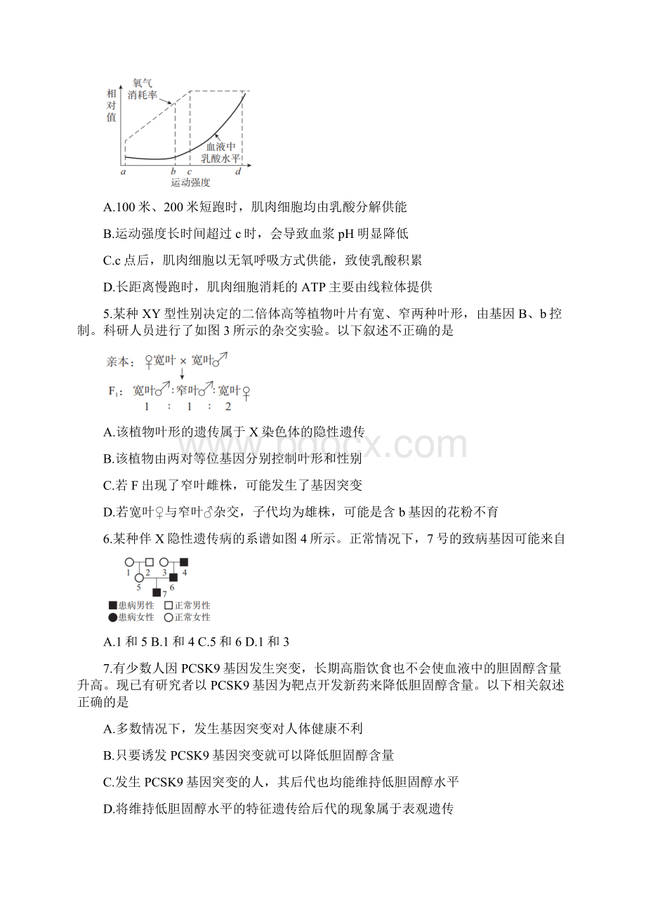 北京市通州区届高三上学期摸底考试 生物含答案.docx_第2页