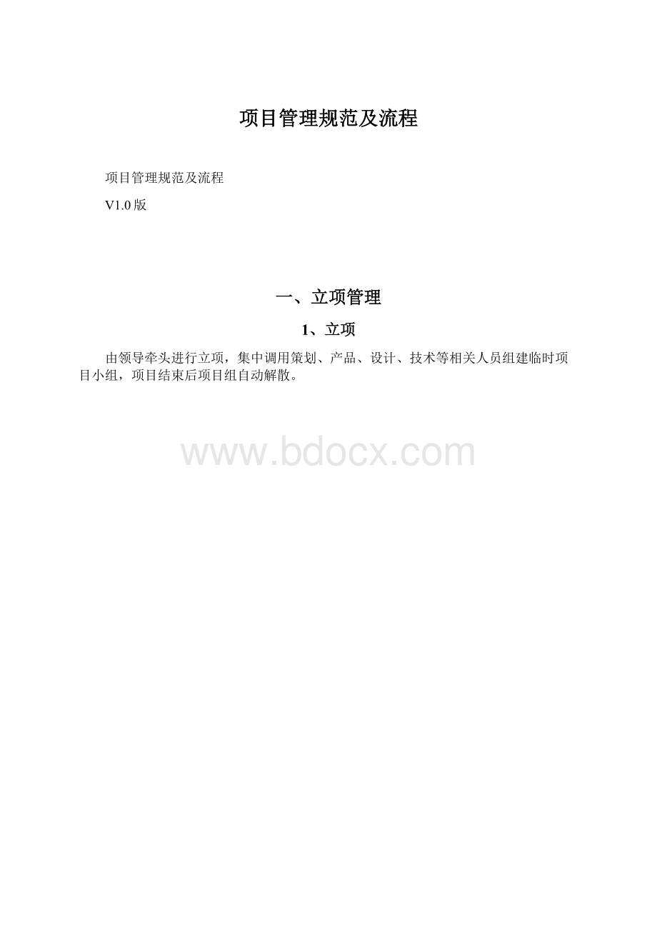 项目管理规范及流程Word文档格式.docx