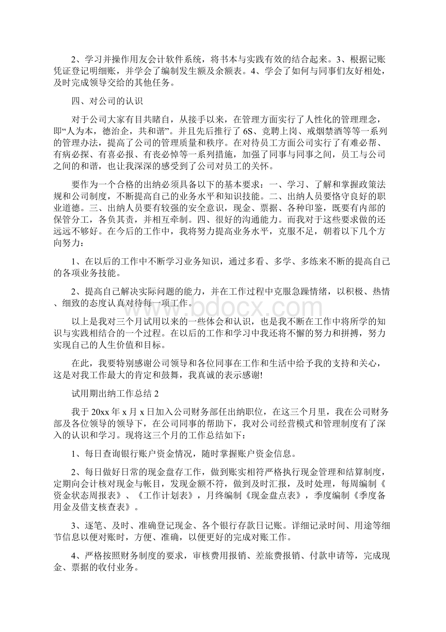 试用期出纳工作总结.docx_第2页