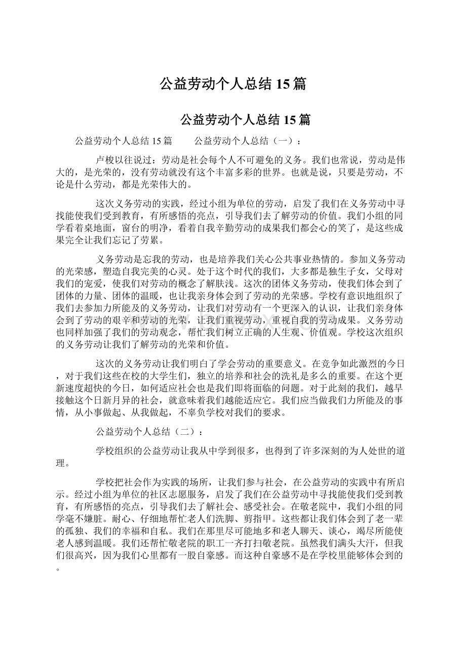 公益劳动个人总结15篇Word文档格式.docx