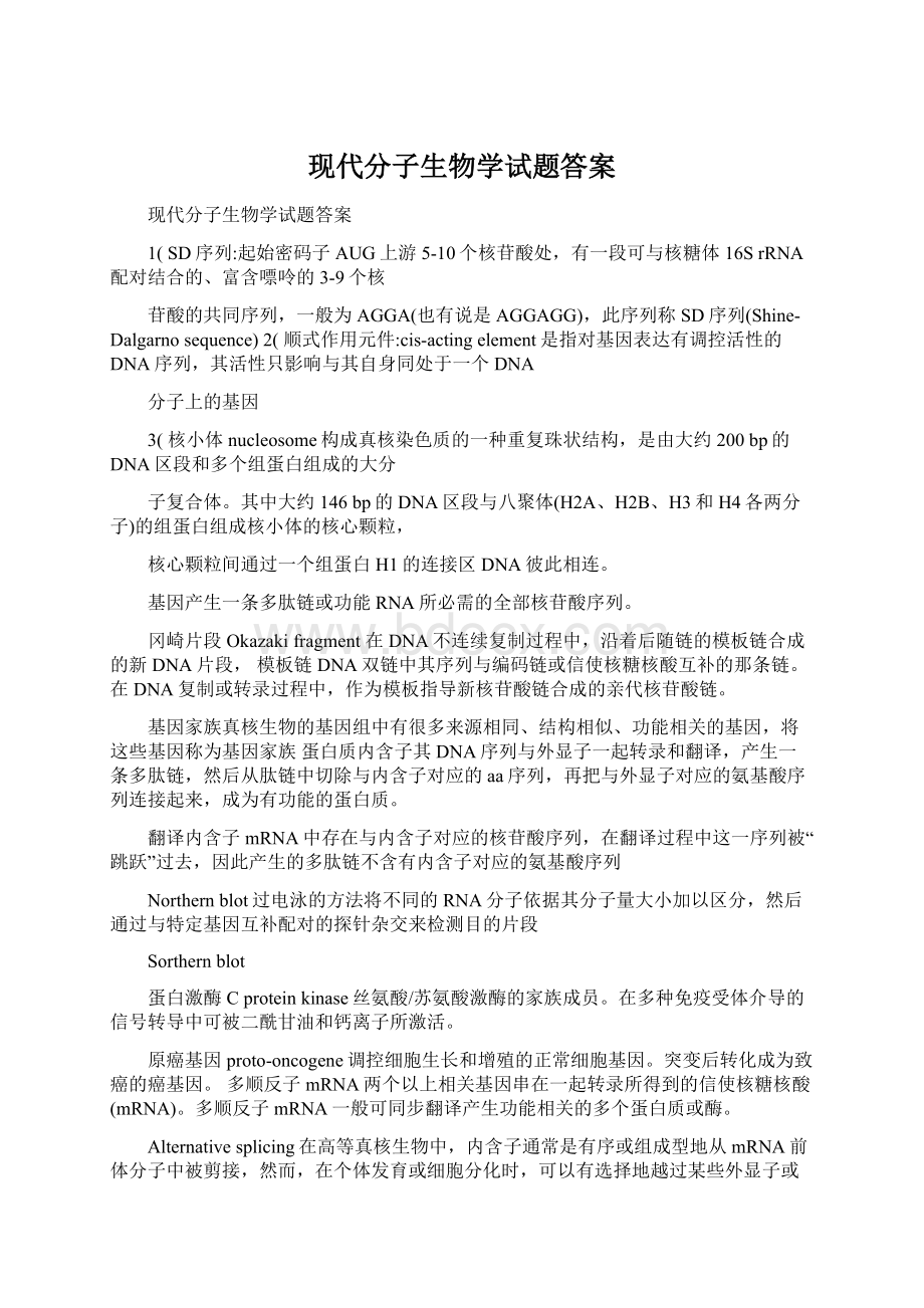 现代分子生物学试题答案Word下载.docx_第1页