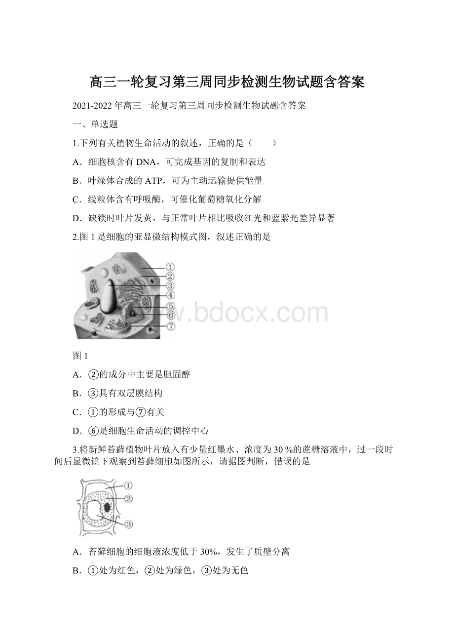 高三一轮复习第三周同步检测生物试题含答案Word文件下载.docx