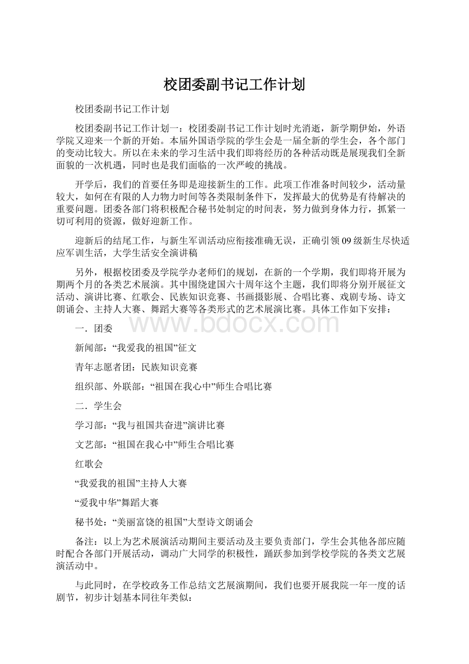 校团委副书记工作计划Word文档下载推荐.docx